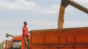 2023 год стал рекордным для АПК области по производству и экспорту 